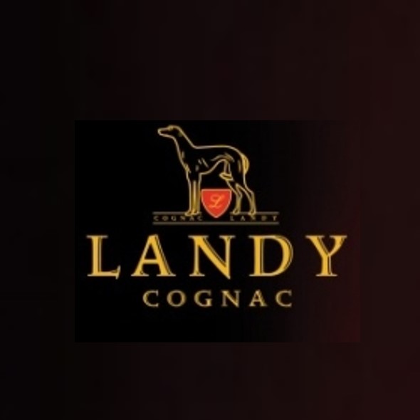 Landy 嵐迪